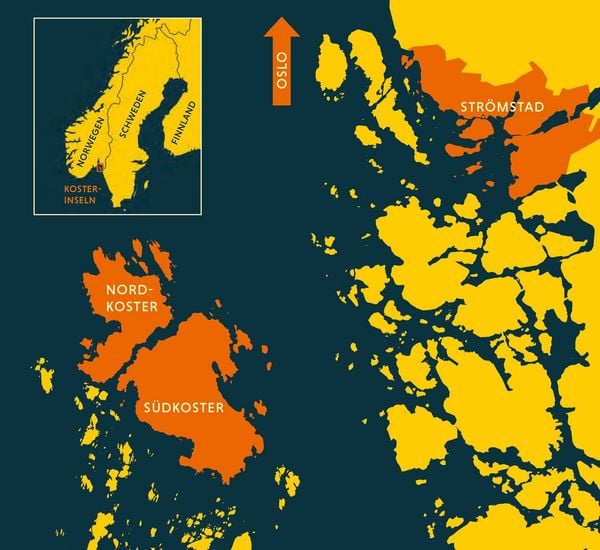 Produktbild: Vega Varg &ndash; Das Schweigen der Insel