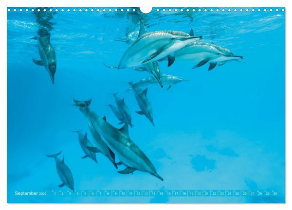 Produktbild: Planet Wasser: Von wegen Planet Erde (Wandkalender 2026 DIN A3 quer), CALVENDO Monatskalender