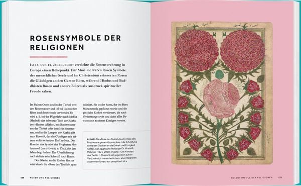 Produktbild: Rosen