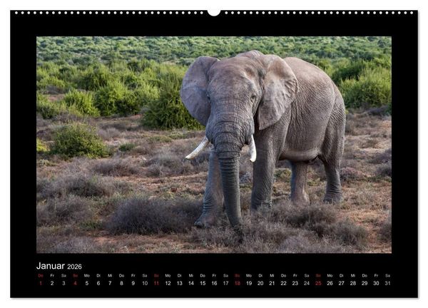 Produktbild: S&uuml;dafrika - Garden Route (hochwertiger Premium Wandkalender 2026 DIN A2 quer), Kunstdruck in Hochglanz