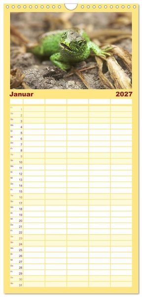 Produktbild: Familienplaner 2027 - Minisaurier im Garten mit 5 Spalten (Wandkalender, 21 x 45 cm) CALVENDO