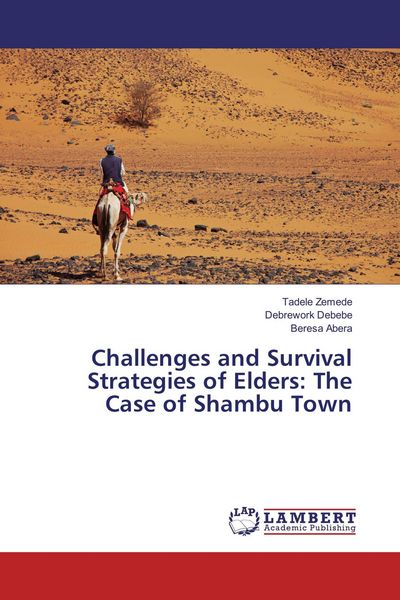 Produktbild: Challenges and Survival Strategies of Elders: The Case of Shambu Town