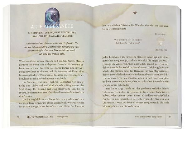 Produktbild: Die Weisheit des Meeres