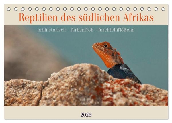Produktbild: Reptilien des s&uuml;dlichen Afrikas (Tischkalender 2026 DIN A5 quer), CALVENDO Monatskalender