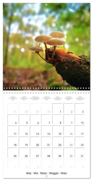Produktbild: Blt, S: Esp&egrave;ces de Nouvelle Aquitaine (Calendrier mural carr