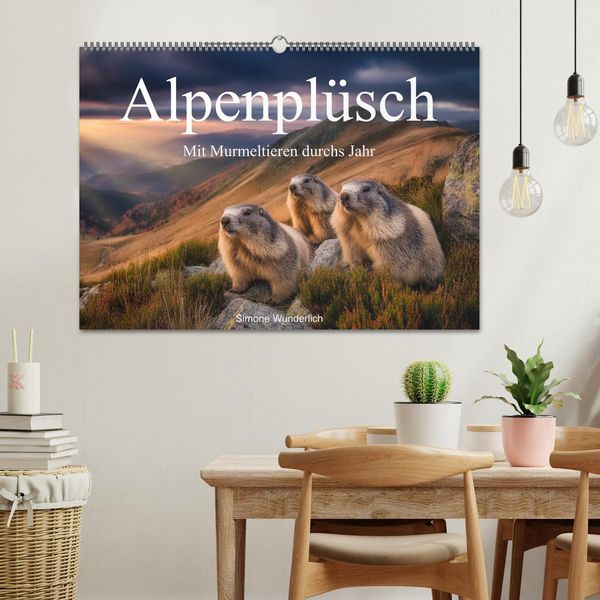 Produktbild: Alpenpl&uuml;sch - Mit Murmeltieren durchs Jahr (Wandkalender 2026 DIN A2 quer), CALVENDO Monatskalender