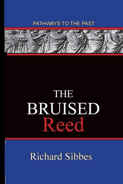 Produktbild: The Bruised Reed