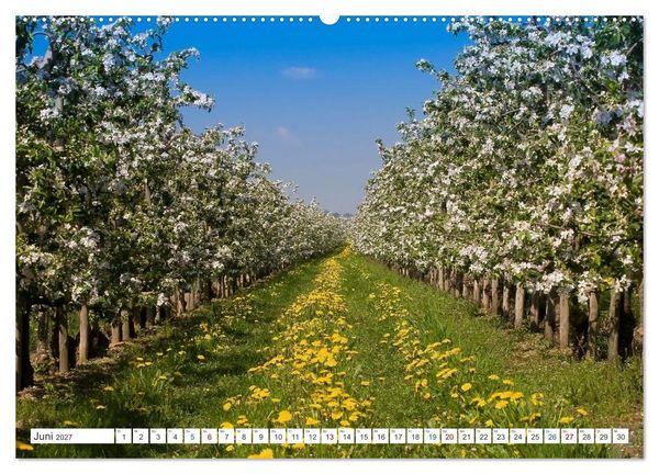 Produktbild: Das Alte Land und die Elbe. Auf dem Weg zur Flussm&uuml;ndung (Wandkalender 2027 DIN A2 quer), CALVENDO Monatskalender