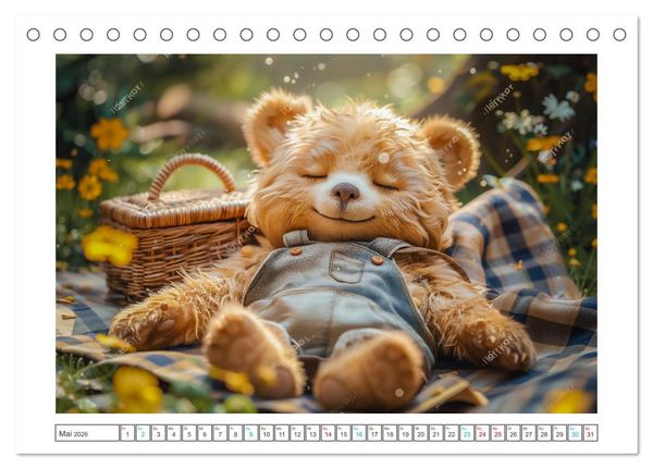 Produktbild: Abenteuer eines Taddyb&auml;ren (Tischkalender 2026 DIN A5 quer), CALVENDO Monatskalender