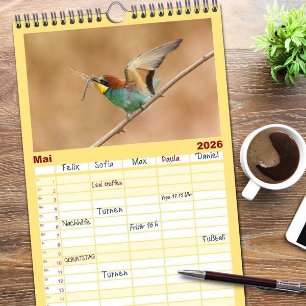 Produktbild: Familienplaner 2026 - Bunte Flieger mit 5 Spalten (Wandkalender, 21 x 45 cm) CALVENDO