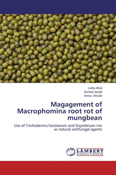 Produktbild: Magagement of Macrophomina root rot of mungbean