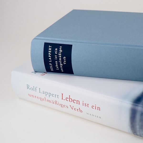 Produktbild: Leben ist ein unregelm&auml;&szlig;iges Verb