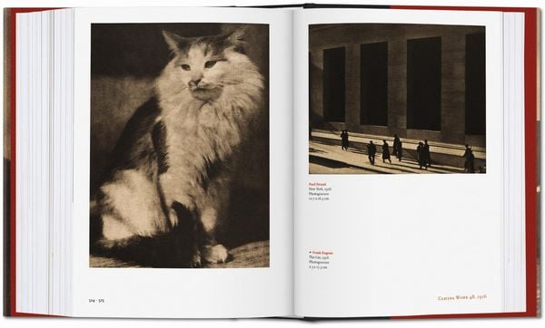 Produktbild: Alfred Stieglitz. Camera Work