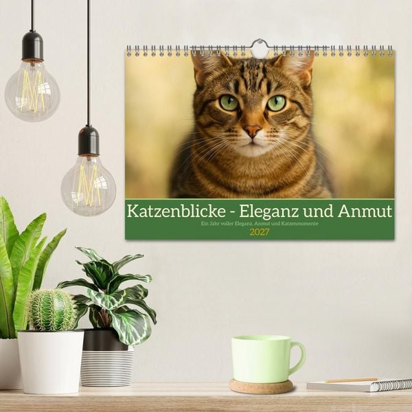 Produktbild: Katzenblicke &ndash; Eleganz und Anmut (Wandkalender 2027 DIN A4 quer), CALVENDO Monatskalender