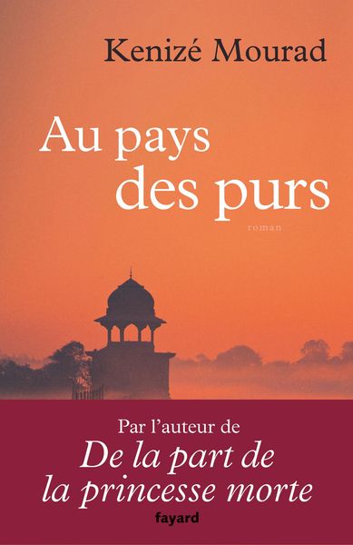 Produktbild: Au pays des purs