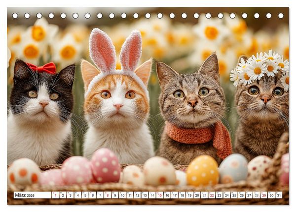 Produktbild: Katzenkalender - S&uuml;&szlig;e Katzen begleiten dich durch alle Jahreszeiten (Tischkalender 2026 DIN A5 quer), CALVENDO Monatskalender