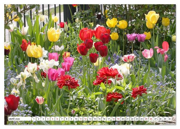 Produktbild: Au royaume des fleurs (Calendrier mural 2026 DIN A3 vertical), CALVENDO calendrier mensuel