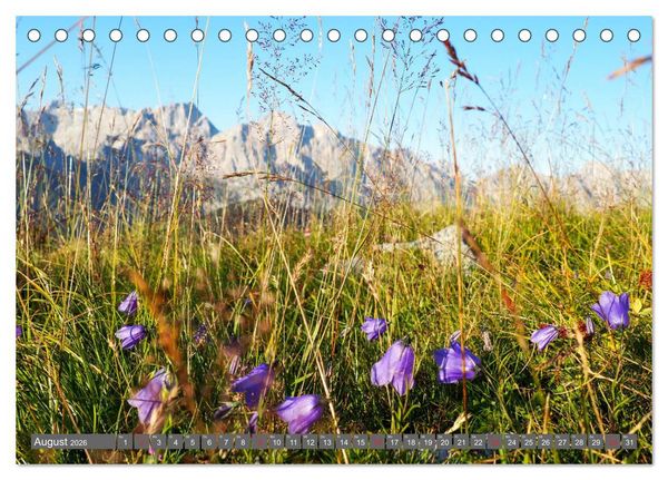 Produktbild: Flora der Alpen (Tischkalender 2026 DIN A5 quer), CALVENDO Monatskalender