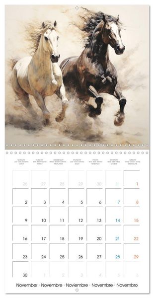 Produktbild: &Eacute;l&eacute;gance &eacute;quine (Calendrier mural carr&eacute; 2026 30x30 cm) Calendrier double avec une page pour vos prises de notes