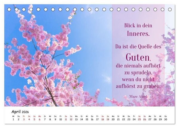 Produktbild: Lebensweisheiten, motivierende Spr&uuml;che und kluge Zitate mit Bildern der Natur (Tischkalender 2026 DIN A5 quer), CALVENDO Monatskalender