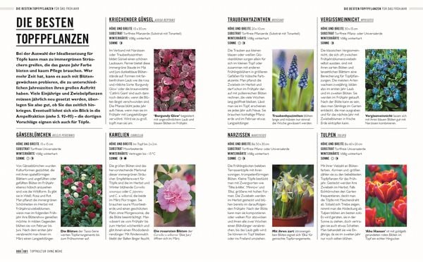 Produktbild: Gr&uuml;nes Gartenwissen. G&auml;rtnern mit wenig Aufwand