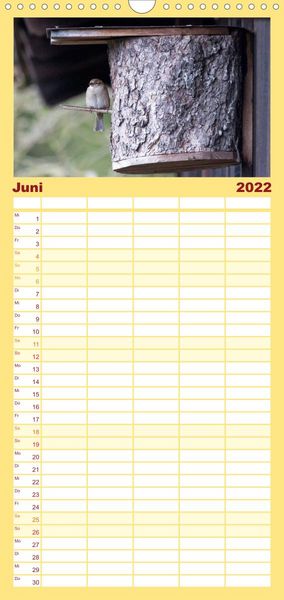 Produktbild: Familienplaner Gartenv&ouml;gel (Wandkalender 2022 , 21 cm x 45 cm, hoch)