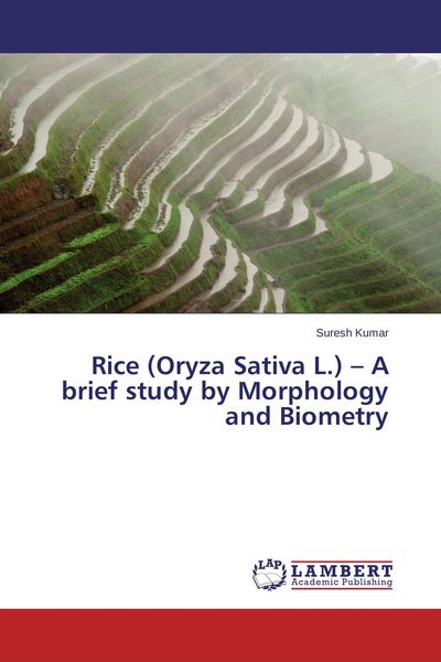 Produktbild: Rice (Oryza Sativa L.) - A brief study by Morphology and Biometry