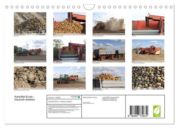 Produktbild: Kartoffel-Ernte - hautnah erleben (Wandkalender 2026 DIN A4 quer), CALVENDO Monatskalender