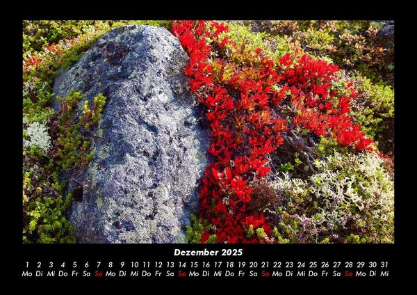 Produktbild: Blumenkalender 2025 Fotokalender DIN A3