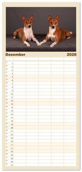 Produktbild: Familienplaner 2026 - Der Basenji mit 5 Spalten (Wandkalender, 21 x 45 cm) CALVENDO