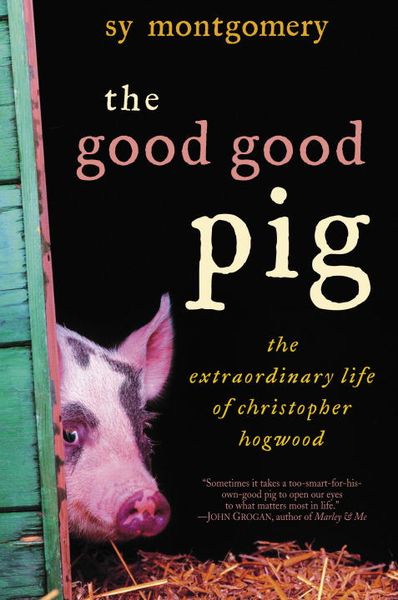 Produktbild: The Good Good Pig: The Extraordinary Life of Christopher Hogwood