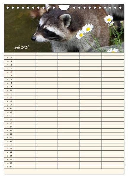 Produktbild: Waschb&auml;ren Familienplaner (Wandkalender 2026 DIN A4 hoch), CALVENDO Monatskalender