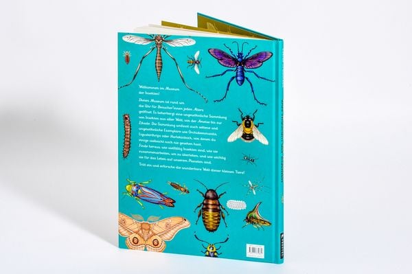 Produktbild: Das Museum der Insekten