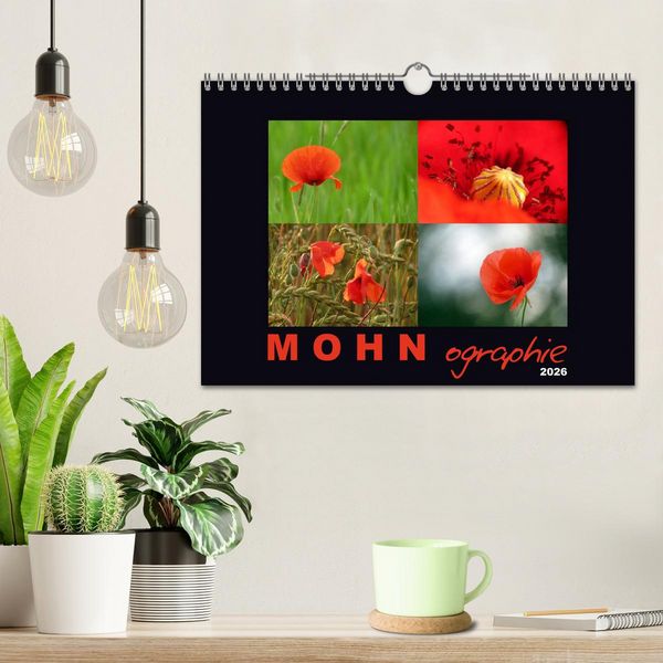 Produktbild: MOHNographie (Wandkalender 2026 DIN A4 quer), CALVENDO Monatskalender