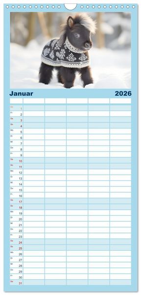 Produktbild: Familienplaner 2026 - Kleine Pferde. Mini-Ponys zum verlieben mit 5 Spalten (Wandkalender, 21 x 45 cm) CALVENDO