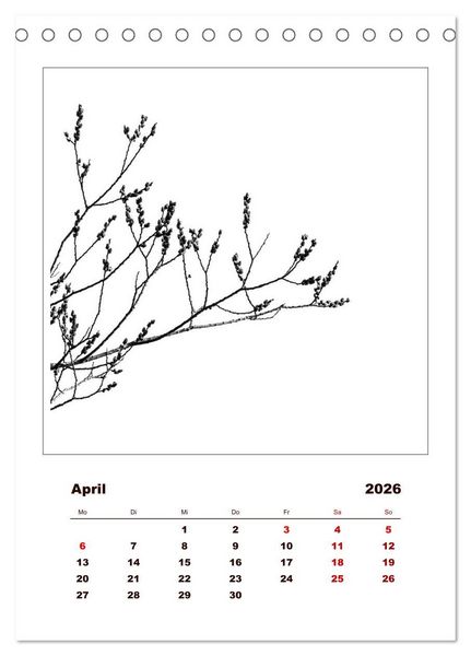Produktbild: LignoGrafica - Muster und Strukturen der B&auml;ume (Tischkalender 2026 DIN A5 hoch), CALVENDO Monatskalender