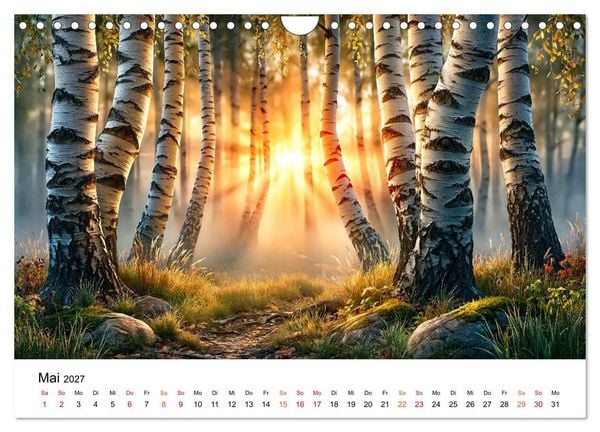 Produktbild: Sonnenjahr (Wandkalender 2027 DIN A4 quer), CALVENDO Monatskalender