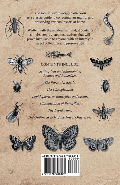 Produktbild: The Beetle and Butterfly Collection - A Guide to Collecting, Arranging and Preserving Insects at Home