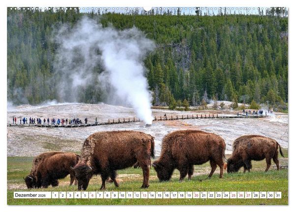 Produktbild: TATONKA Der nordamerikanische Bison (hochwertiger Premium Wandkalender 2026 DIN A2 quer), Kunstdruck in Hochglanz