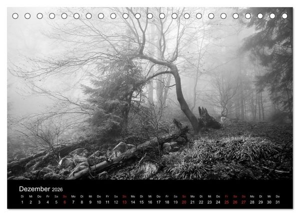 Produktbild: Monochrom 2026 (Tischkalender 2026 DIN A5 quer), CALVENDO Monatskalender