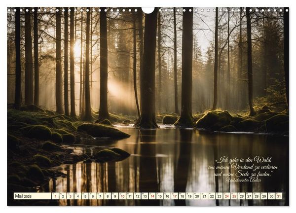 Produktbild: Waldbaden - Shinrin Yoku (Wandkalender 2026 DIN A3 quer), CALVENDO Monatskalender