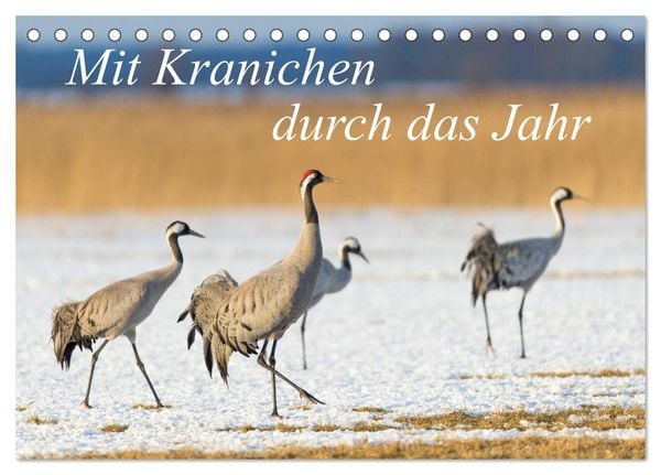 Produktbild: Mit Kranichen durch das Jahr (Tischkalender 2026 DIN A5 quer), CALVENDO Monatskalender