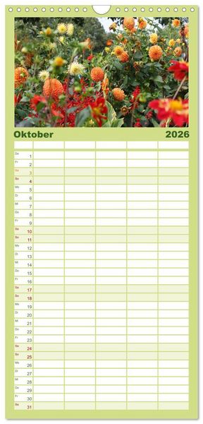 Produktbild: Familienplaner 2026 - Traumhafte Dahlien mit 5 Spalten (Wandkalender, 21 x 45 cm) CALVENDO