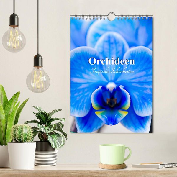 Produktbild: Orchideen - Tropische Sch&ouml;nheiten (Wandkalender 2026 DIN A4 hoch), CALVENDO Monatskalender
