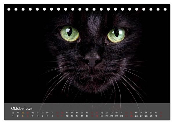 Produktbild: Katzen 2026 Bezaubernde Samtpfoten (Tischkalender 2026 DIN A5 quer), CALVENDO Monatskalender
