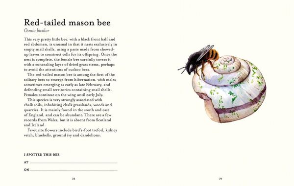Produktbild: The Bee Spotter's Guide