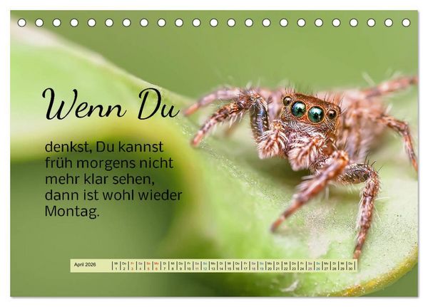 Produktbild: Der Spruchkalender - freiheraus und witzig (Tischkalender 2026 DIN A5 quer), CALVENDO Monatskalender
