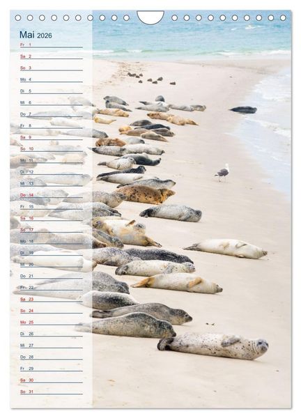 Produktbild: Maritim - Geburtstagskalender (Wandkalender 2026 DIN A4 hoch), CALVENDO Monatskalender