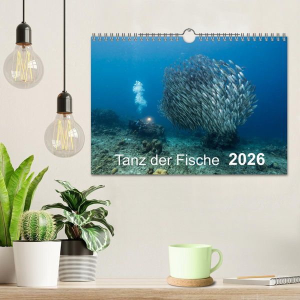 Produktbild: Tanz der Fische (Wandkalender 2026 DIN A4 quer), CALVENDO Monatskalender