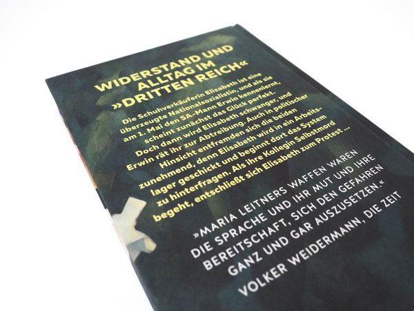 Produktbild: Elisabeth, ein Hitlerm&auml;dchen. Roman der deutschen Jugend
